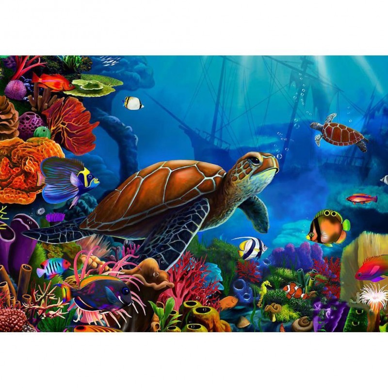 Turtle - Full Round ...