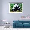 Panda - Full Round Diamond Painting