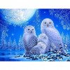 White Owl- Full Round Diamond Painting
