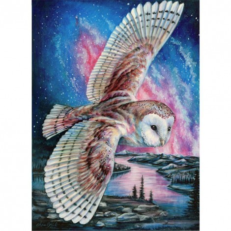 Owl - Full Round Diamond Painting