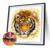 Tiger - Full Round Diamond Painting