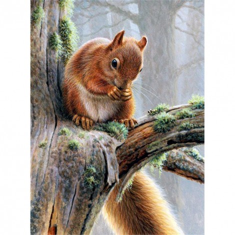 Squirrel - Full Round Diamond Painting