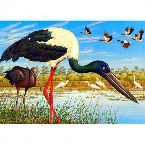 Bird  - Full Round Diamond Painting