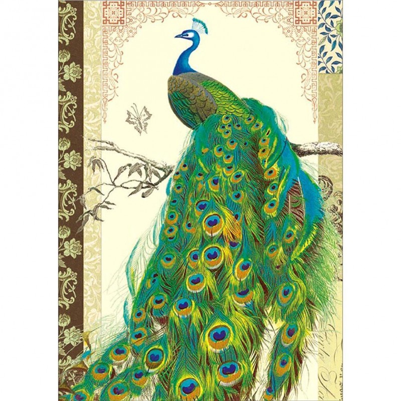 Peafowl  - Full Roun...