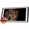 Owl - Full Round Diamond Painting(80x30cm)