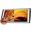 Lion - Full Round Diamond Painting(80x30cm)