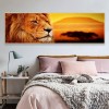 Lion - Full Round Diamond Painting(80x30cm)