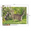 Play Cat - Full Round Diamond Painting