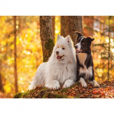 Autumn Dog - Full Round Diamond Painting