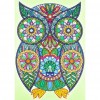 Owl - Crystal Rhinestone Diamond Painting