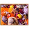 Shells - Full Round Diamond Painting