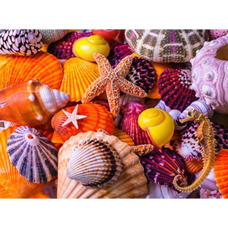 Shells - Full Round ...