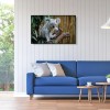 Koala - Full Round Diamond Painting