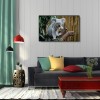 Koala - Full Round Diamond Painting