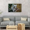 Koala - Full Round Diamond Painting
