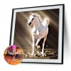 Horse - Full Round Diamond Painting