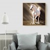 Horse - Full Round Diamond Painting