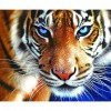 Tiger - Partial Round Diamond Painting(30*35cm)