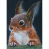 Squirrel - Full Round Diamond Painting