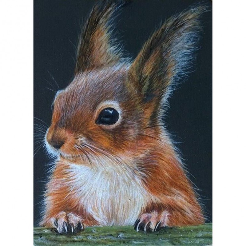 Squirrel - Full Roun...