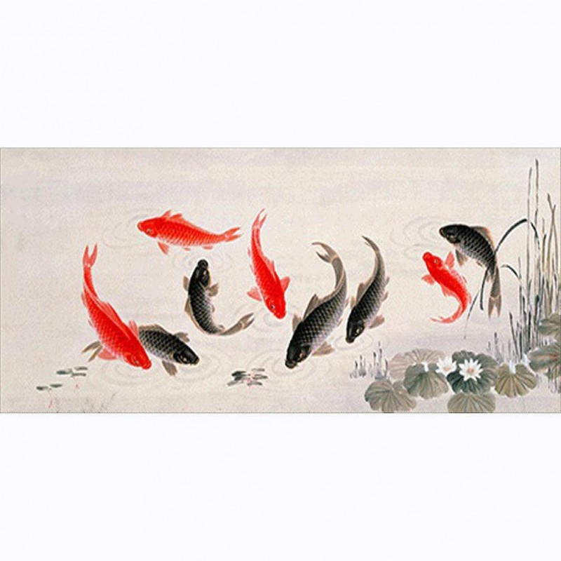 Fish - Full Round Di...