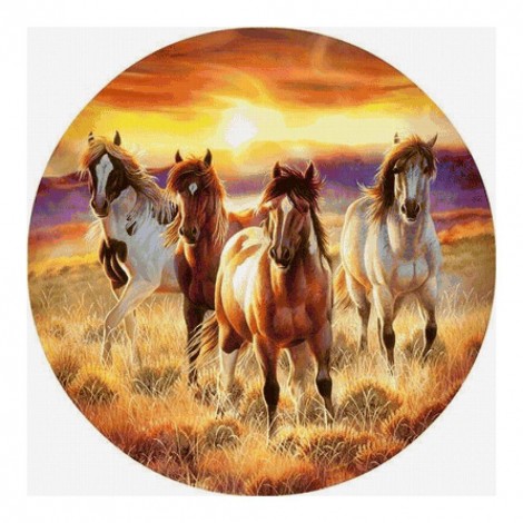 Horse - Full Round Diamond Painting