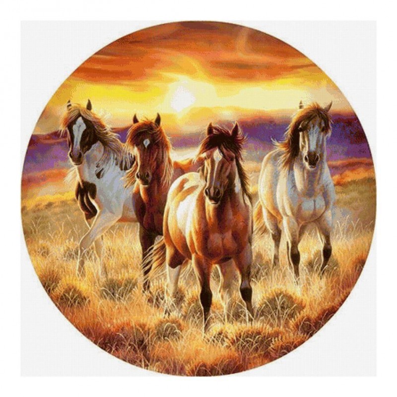 Horse - Full Round D...