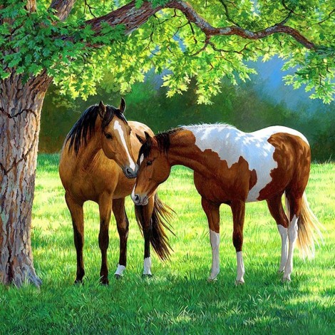 Horse - Full Round Diamond Painting