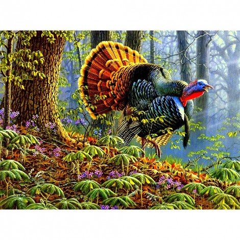 Turkey- Full Round Diamond Painting