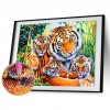 Tiger - Full Round Diamond Painting
