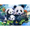 Panda - Full Round Diamond Painting