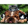 Dog Cat - Full Round Diamond Painting