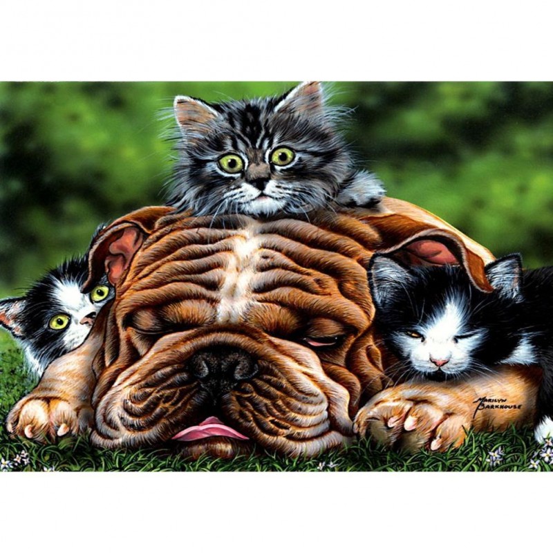 Dog Cat - Full Round...