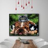 Dog Cat - Full Round Diamond Painting
