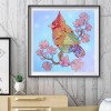 Flower Parrot-Partial Round Diamond Painting