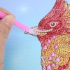 Flower Parrot-Partial Round Diamond Painting