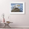 Eagle  - Full Round Diamond Painting