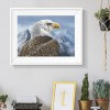 Eagle  - Full Round Diamond Painting