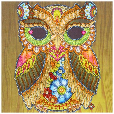 Owl -Partial Round Diamond Painting