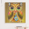 Owl -Partial Round Diamond Painting