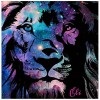 Lion - Full Round Diamond Painting