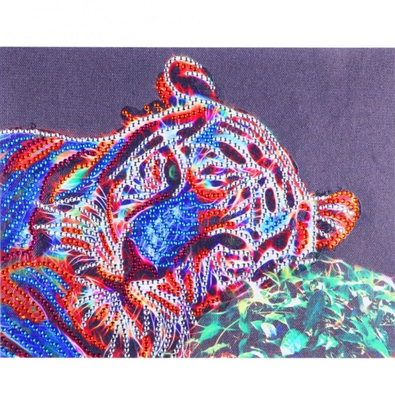 Tiger - Crystal Rhin...