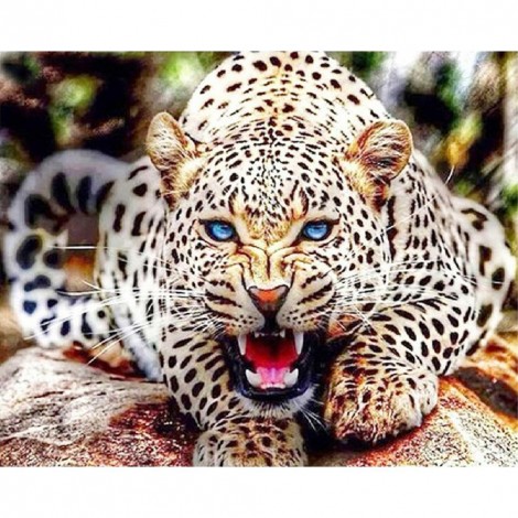 Leopard- Full Round Diamond Painting