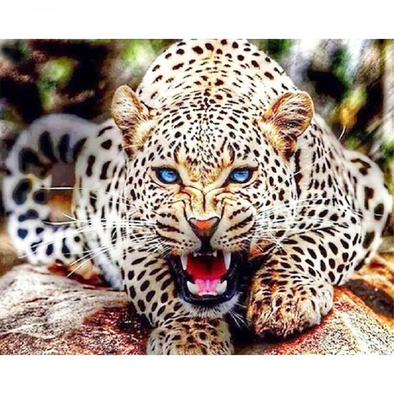 Leopard- Full Round ...