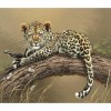 Leopard - Full Round Diamond Painting