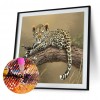 Leopard - Full Round Diamond Painting
