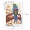 Parrot  - Full Round Diamond Painting