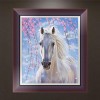 Horse - Partial Round Diamond Painting