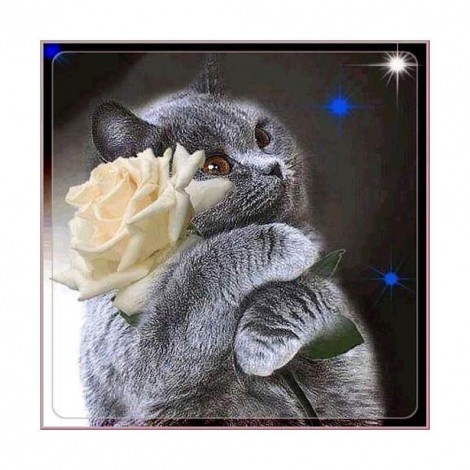 Cat - Partial Round Diamond Painting(30*30cm)