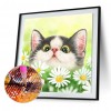Cat - Full Round Diamond Painting